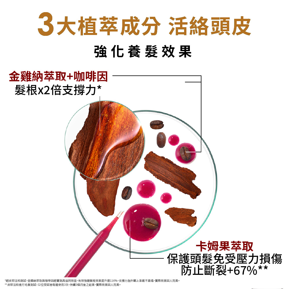 KLORANE蔻蘿蘭 植萃養髮強韌精華液推廣組