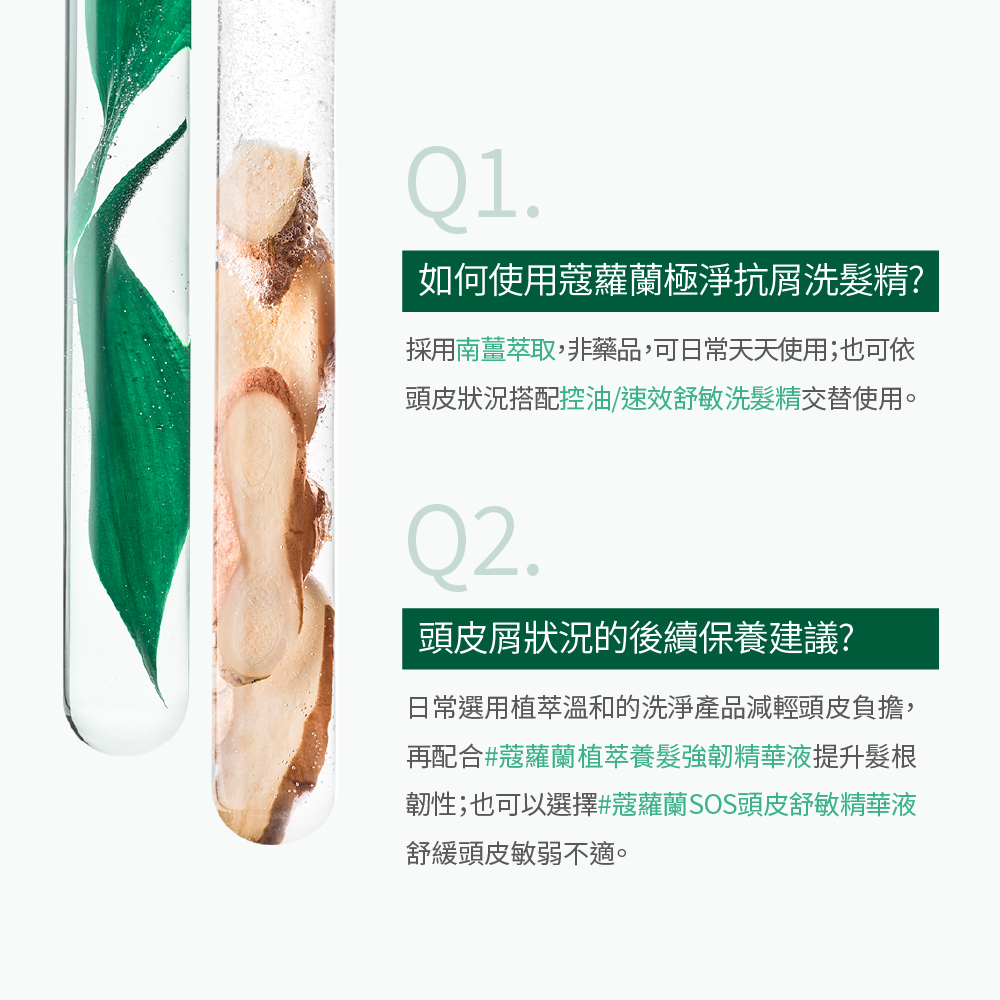KLORANE蔻蘿蘭 極淨抗屑洗髮精 400ml